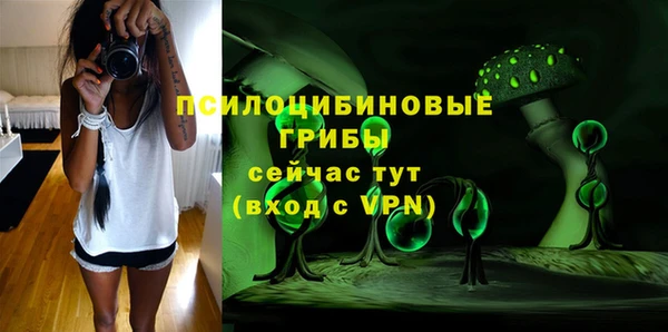 меф Белокуриха